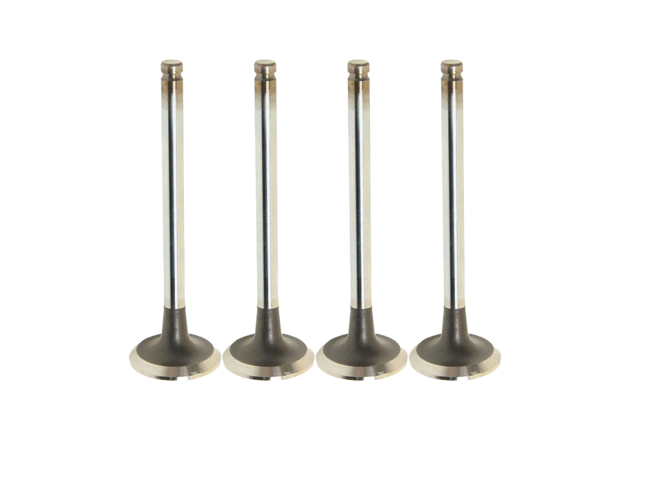 7701473354 Exhaust Valve for Engine