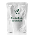 Probióticos em pó de Clostridium butyricum