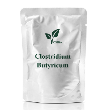 Bột men vi sinh của Clostridium butyricum cho phụ gia thực phẩm