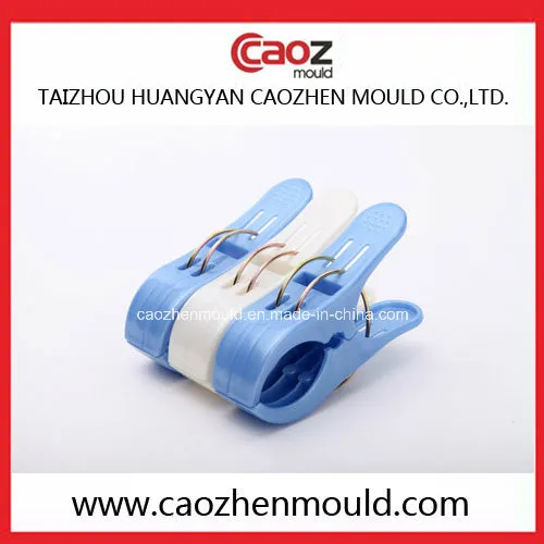 Plastic Injection Big Clothes-Peg Mold