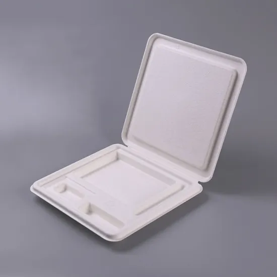 Biodegradable bagasse molded pulp packaging box with insert