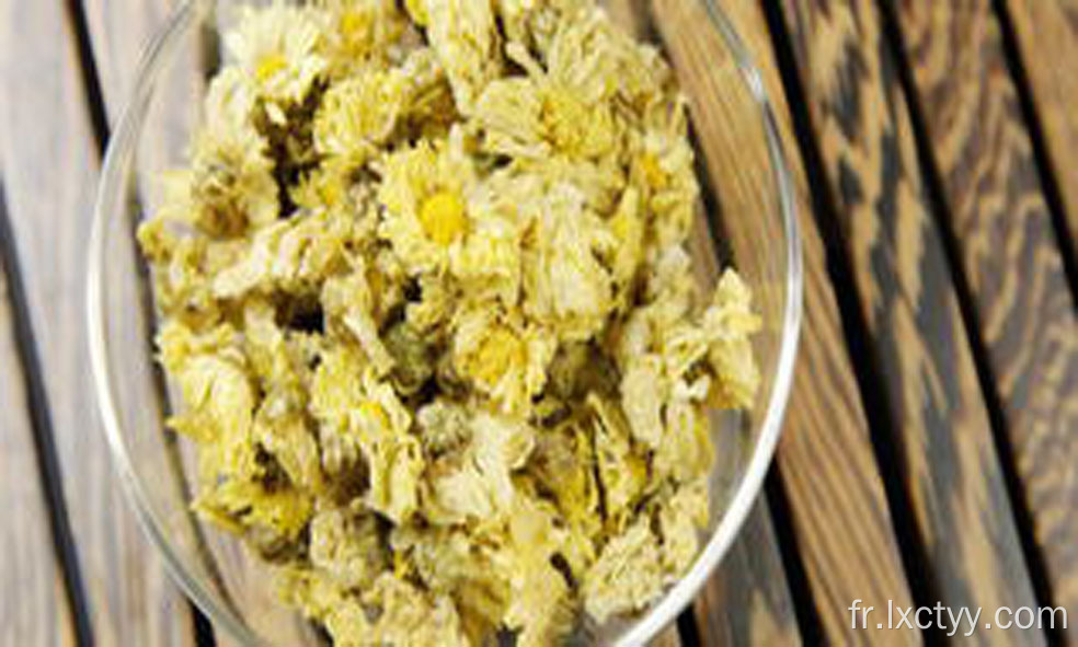 thé de fleur de chrysanthème bio vente chaude