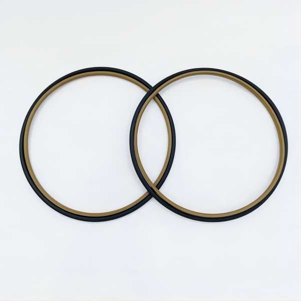 PTFE dust ring1