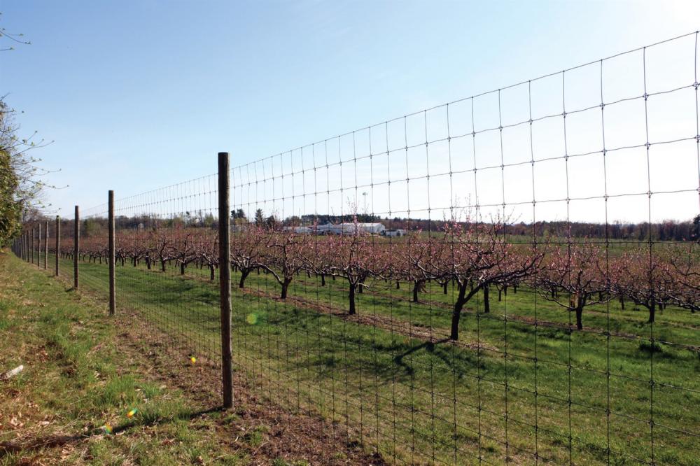 Field Livestock Wire Grassland Fence