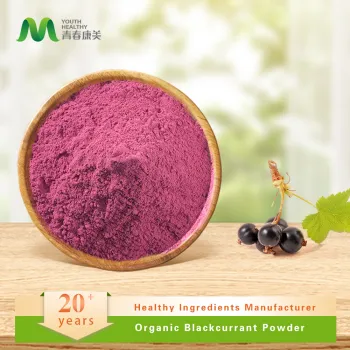 Pure Organic Blackcurrant Powder