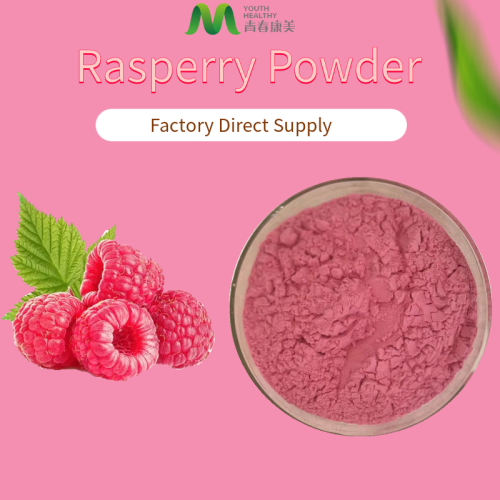 Red Raspberry -Saftpulver mit wettbewerbsfähigem Preis