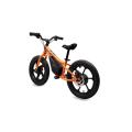 16'' E balance kids electric bikes