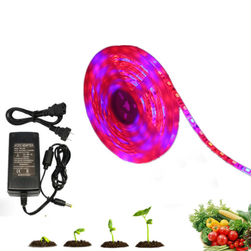 12V Waterproof Greenhouse Hydroponic LED Grow Strip Lights