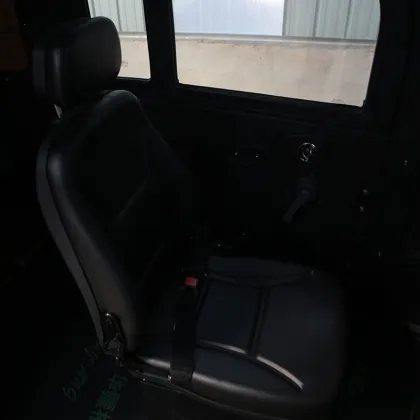 elderly electric car insurance