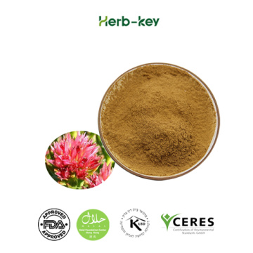 Spot direct supply herbal Rhodiola extract powder