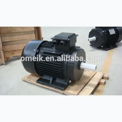 Y2 electric water pump motor