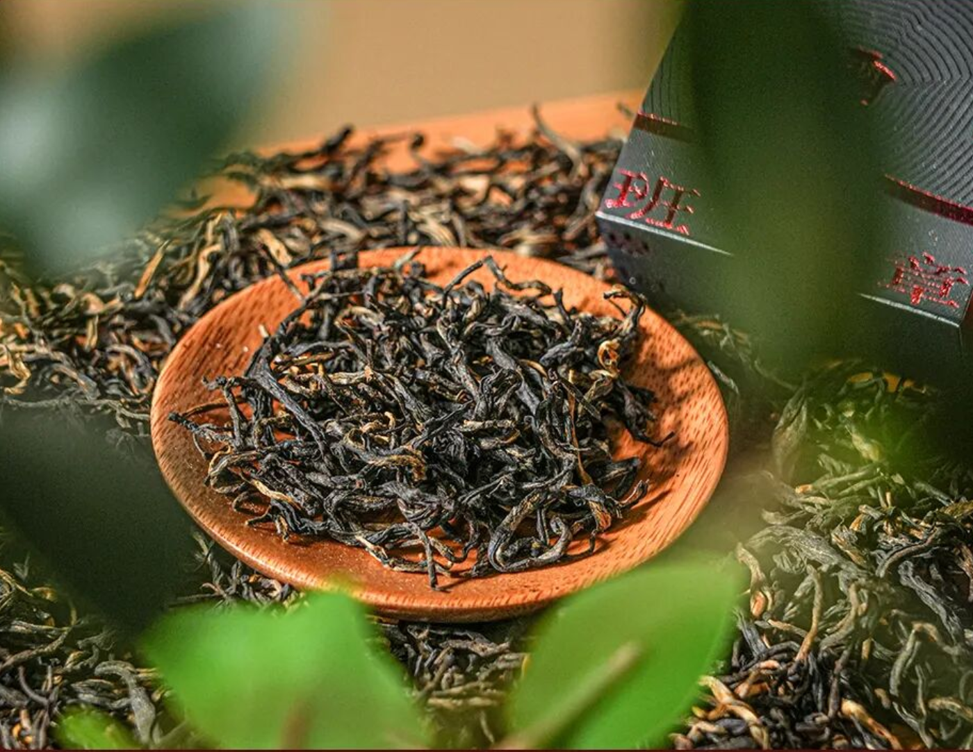 Banzhang Ancient Tree Black Tea