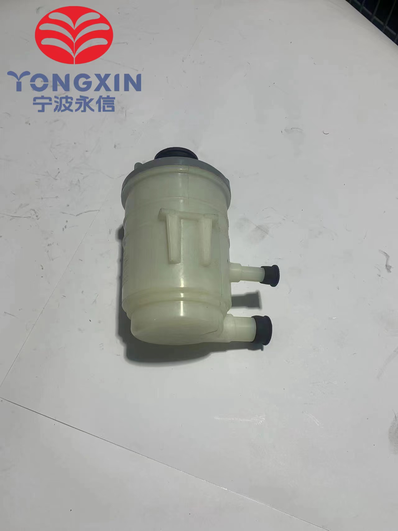 OEM Plastic Steering Tank