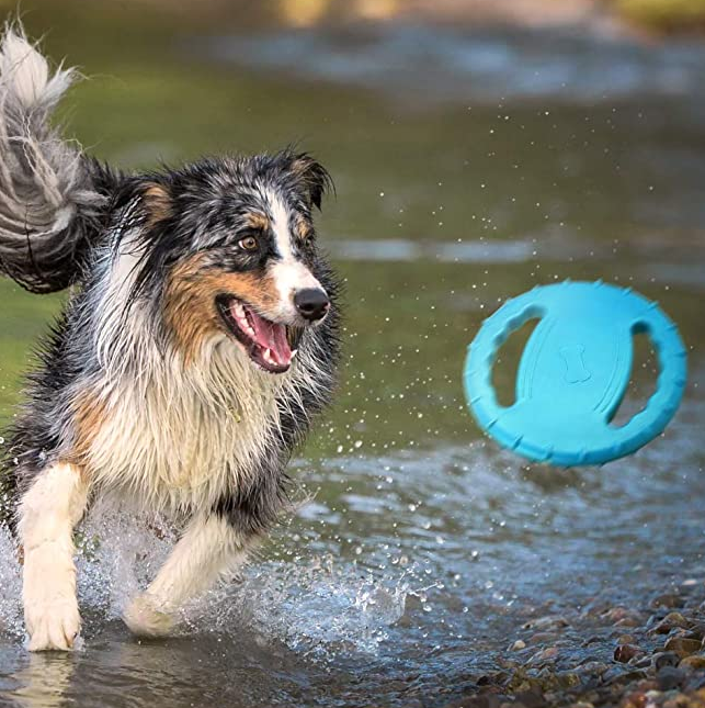 Rubber Pet Flying Disc