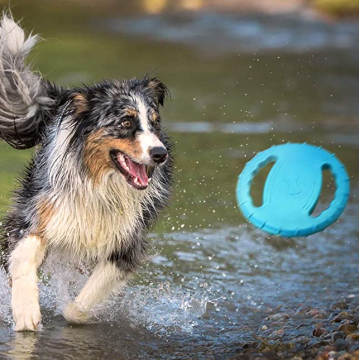 Tough Flying Disc Play Toy