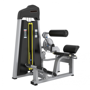 Equipamento de fitness funcional Máquina traseira / abdominal