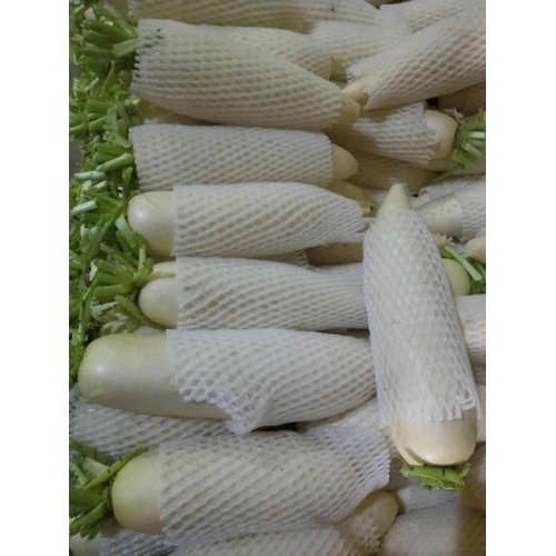 Aokubi Daikon Plastic Bag / White Radish by Takara / Vegetable -   Portugal