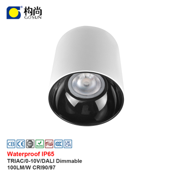 52W IP65 Waterproof Cylinder Aluminum Adjustable LED Ceiling Light