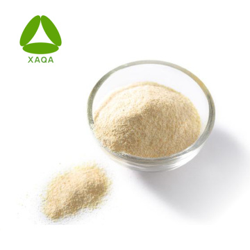 Garlic Extract Powder Allicin Free Sample