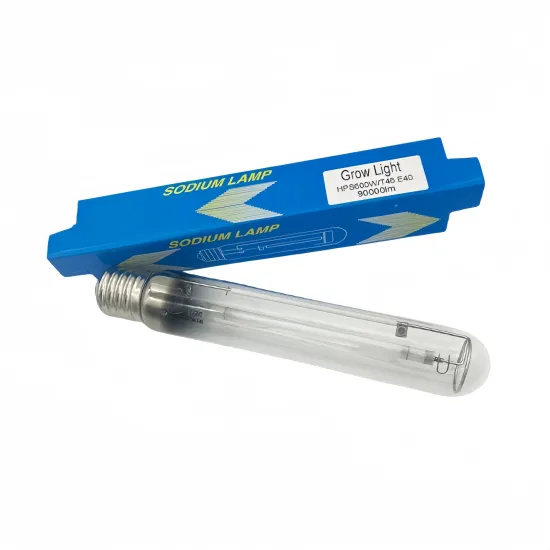 High Quality Hydroponics Horticulture HPS600w Grow Light for Vegetables