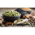 Pure Natural Cardamom Seed Extract Cardamonin 99%