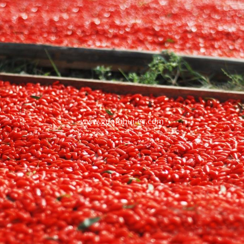 Red Goji Berry 550 Specifications Red Goji Berry 550 Specifications