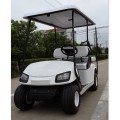 2 + 2 carrinho de golfe barato personalizado à venda