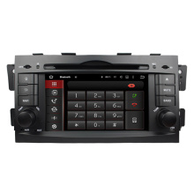 Kia Borrego car dvd player