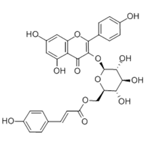 Tiliroside CAS 20316-62-5