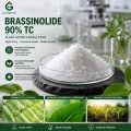 24-Epibrassinolide 90% TC Brassinosteroid منظم نمو النبات