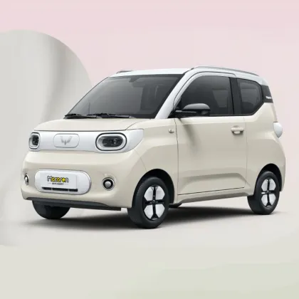 Search Mini Wuling Electric Car