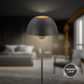 Modern Black Floor Lamp for Living Room