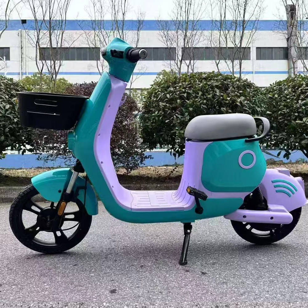 Shared electric bicycles