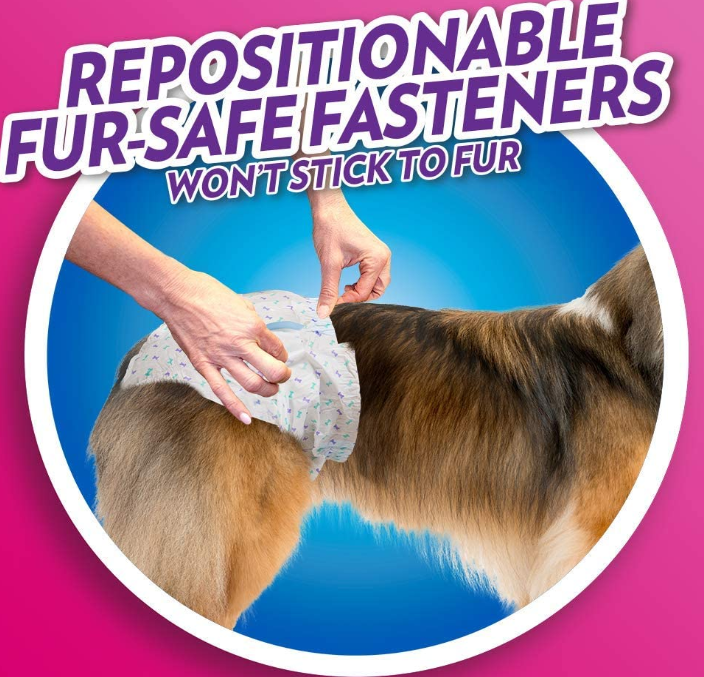 Disposable Female Dog Diapers