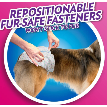 Disposable Female Dog Diapers