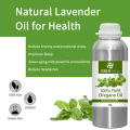 Factory Organic Oregano Oil Good Price Wild Oregano Essential Oil Nature Oregano Oil