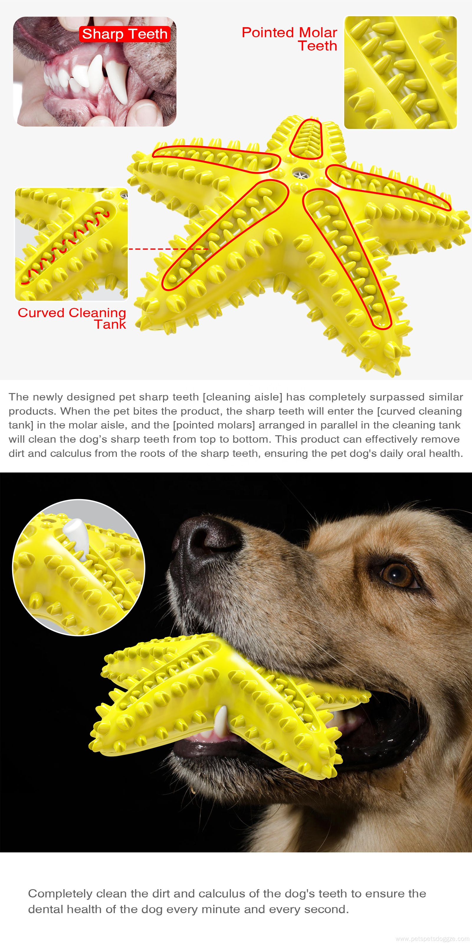 Pet Chew Toy Vocalable Starfish Dog Scratcher Toy