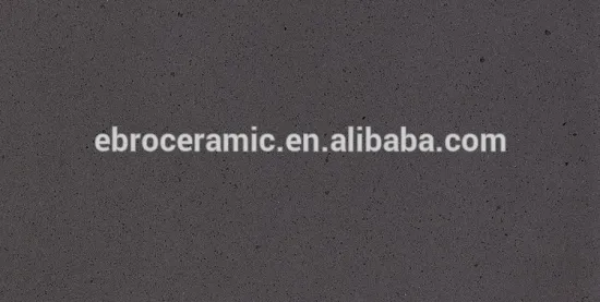 Wear resisting 300x300/ 300x600 duoble loading Porcelain floor tile Matt finish Microlite wall tile EJJ6003