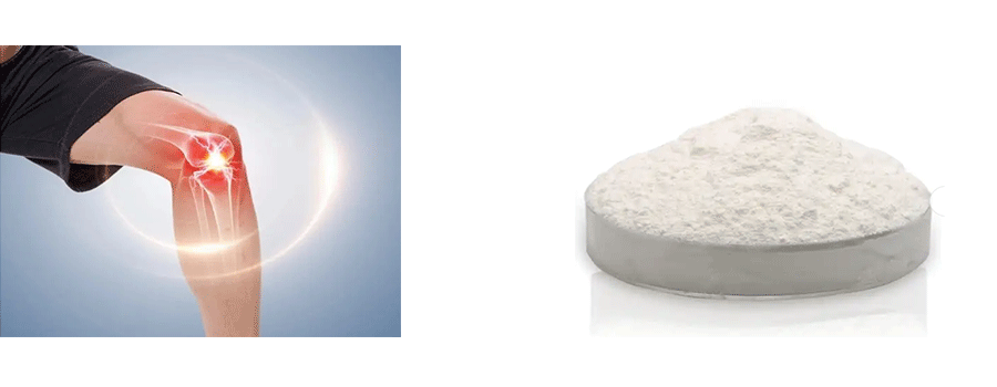 chondroitin sulfate ingredients