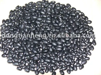 Black Bean