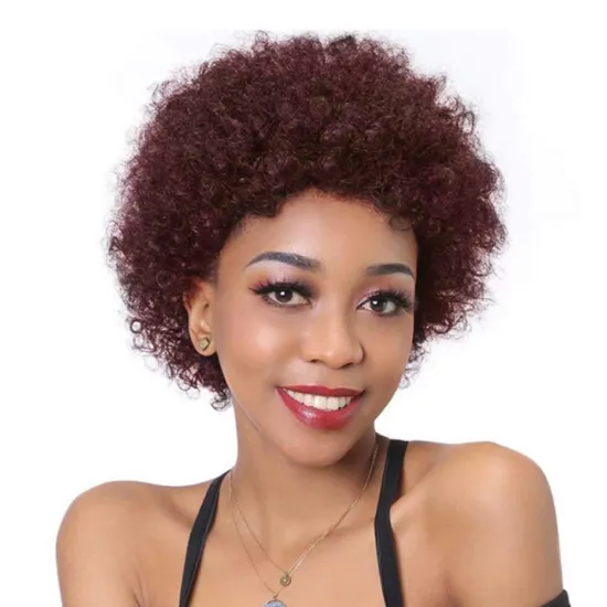 Hot wig in Africa for women Short Curly Human Hair Wigs for Black Women None Lace Daily Use Wigs Wholesale