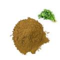 Cilantro Caraway Extract Coriander Seed Extract Powder