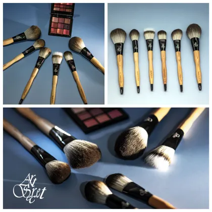 Premium Beauty Brush Kit