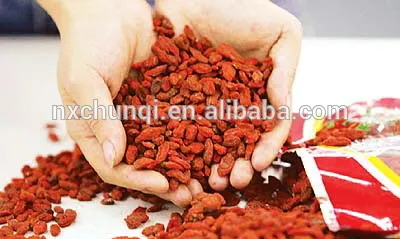 NingXia red fresh goji berries/goji berry with lowest price