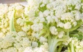Jakość Delicious Frozen Cauliflower