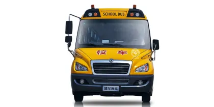 Dongfeng Mini Bus and School Bus Wholesale Sale