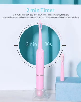 eco toothbrush toothbrush Sonic adult toothbrush