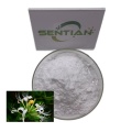 Honegsukle Flower Extract 98% Chlorogenic Acid Powder