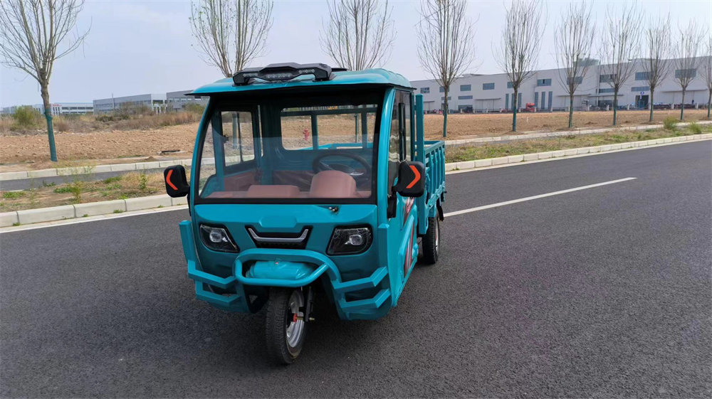 Tricycle With Separate Passenger And Cargo