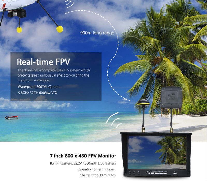 Standard LCD Monitor